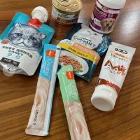 غذای گربه|لوازم جانبی حیوانات|خوی, |دیوار