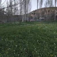 فروش علف دستی وبسته بندی