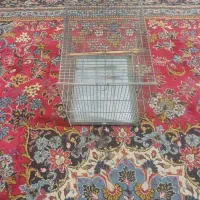 یک عدد قفس غلامی سایز۳|لوازم جانبی حیوانات|تهران, شمس‌آباد|دیوار