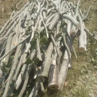 خریدارچوب انواع درختان|خدمات باغبانی و درختکاری|تویسرکان, |دیوار