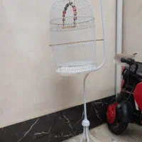 درحدنو