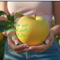 انارازگیل خرمالو گردو بادام پسته فندق ارش نهال