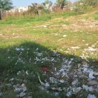 اجاره زمین کشاورزی