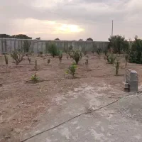 فروش باغ