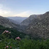سویت اجاره پاوه روستای دشه