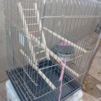 قفس بزرگ نو|لوازم جانبی حیوانات|قروه, |دیوار