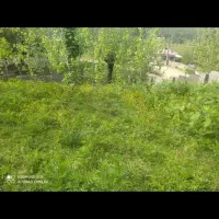 فروش|فروش زمین و ملک کلنگی|گوراب زرمیخ, |دیوار