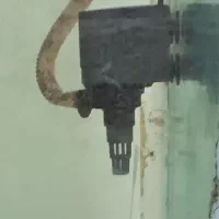 اکواریوم بزرگ|ماهی|تبریز, |دیوار