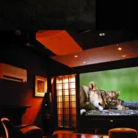 ویدیو پروژکتور شارژی قابل حمل کیفیت قیمت همکار|تلویزیون و پروژکتور|شیراز, زرهی|دیوار