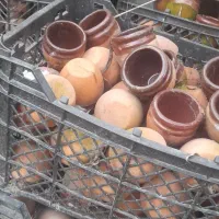 گلدونی کوچیک مخصوص کاکتوس