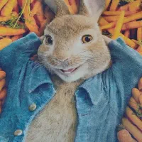 فرش ماشینی کودک|فرش|سهند, |دیوار