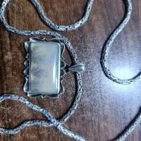 شجر فوق کلیکسیونی نیست در جهان