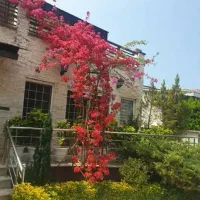 فروش‌ویلافرنیش 250Mدهکده‌آهنگرکلا