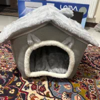 جای خواب گربه