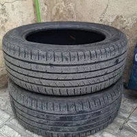 لاستیک|قطعات یدکی و لوازم جانبی|کامیاران, |دیوار