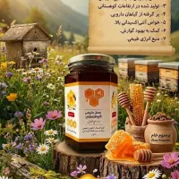 عسل طبیعی کوهستان (برگرفته از گیاهان دارویی )