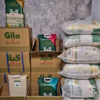 برنج ممتاز هاشمی، دمسیاه، فجر ،علی کاظمی ،عنبربو