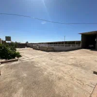 فروش-موسسه-پرواربندی-گوساله-100-راس-در-مسجدسلیمان