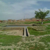 فروش یک قطعه زمین کشاورزی