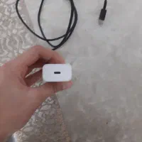 کلگی وسیم تاپسی به تایپسی