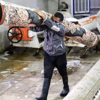 قالیشویی و مبل شویی آریانا کیانمهر