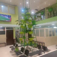 ویزیت رایگان پزشک عمومی با سابقه 25 سال در مطب