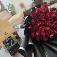 فروش گل رز هلندی