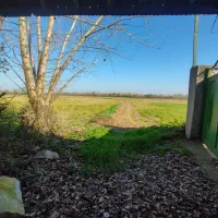 خانه و شالیزار/هشت دقیقه تا گلسار/1 هکتار/چسب هم|فروش خانه و ویلا|رشت, بلوار گیلان|دیوار