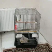 قفس کاسکویی بالوازم