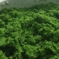 سبزی قورمه و کوکو آماده کشک زرد