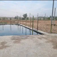 فروش یک هکتار زمین گلخانه ای روبروی شرافت