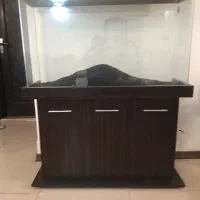 آکواریوم
