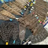 فروش و خرید مو