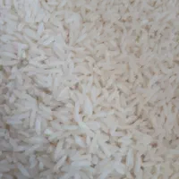 برنج طارم هاشمی درجه ۱