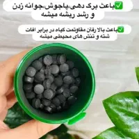 کود ارگانیک قرصی برای گل‌های آپارتمانی