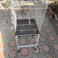 قفس پرنده کاسکو و عروس هلندی|لوازم جانبی حیوانات|اصفهان, آبشار|دیوار