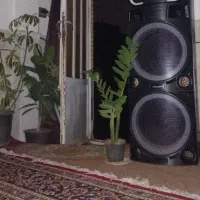 سیستم حرفه ای خانگی|سیستم صوتی خانگی|آران و بیدگل, |دیوار