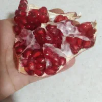 ناردونه درجه یک|خوردنی و آشامیدنی|شیراز, شهرک مدرس|دیوار