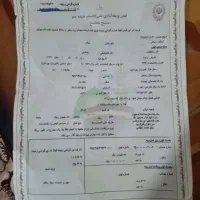 حج تمتع