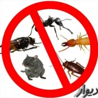 شرکت سمپاشی آریا سم پاشی سوسک ساس کنه(سراسر مشهد)