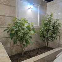 اجاره-خانه-ویلایی-2طبقه-دربست-میدان-امام
