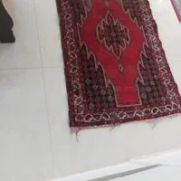 فرش دستباف قدیمی|فرش|کومله, |دیوار