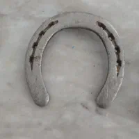 نعل اسب کار کرده برای رزق و روزی|اسب و تجهیزات اسب‌سواری|کرمانشاه, |دیوار