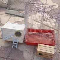 قفس ودو۲عدلانه کاملا سالم