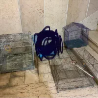 قفس پرنده