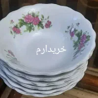 کاسه و پیاله چینی این مدلی