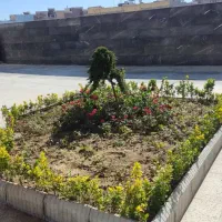 خدمات باغبانی VIP هرس،کوددهی،تعویض خاک گلدان