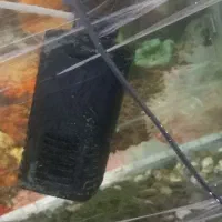 اکواریوم|لوازم جانبی حیوانات|سنندج, |دیوار