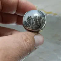 انگشتربسیارزیبا و کلکسیونی شجرسوزنی