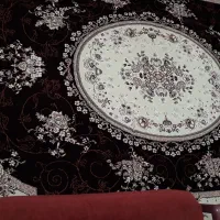 فرش|فرش|رشت, جانبازان|دیوار